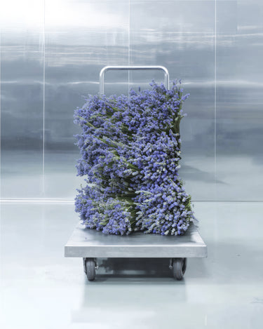 Metal Lavender