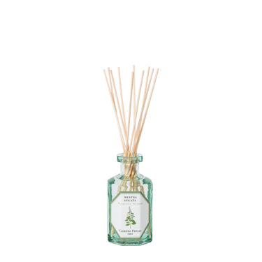 Spearmint Diffuser