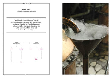 The Naturals Notebook | Rose
